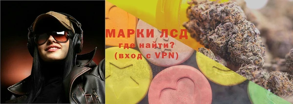 тгк Ростов