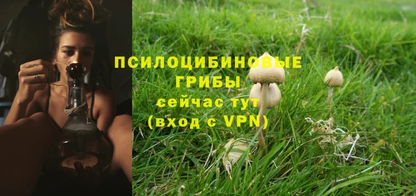 каннабис Богородск