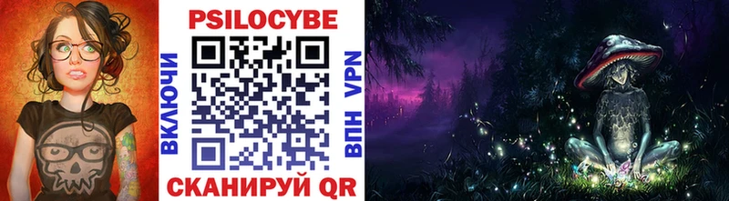 Галлюциногенные грибы Psilocybine cubensis  Тосно 
